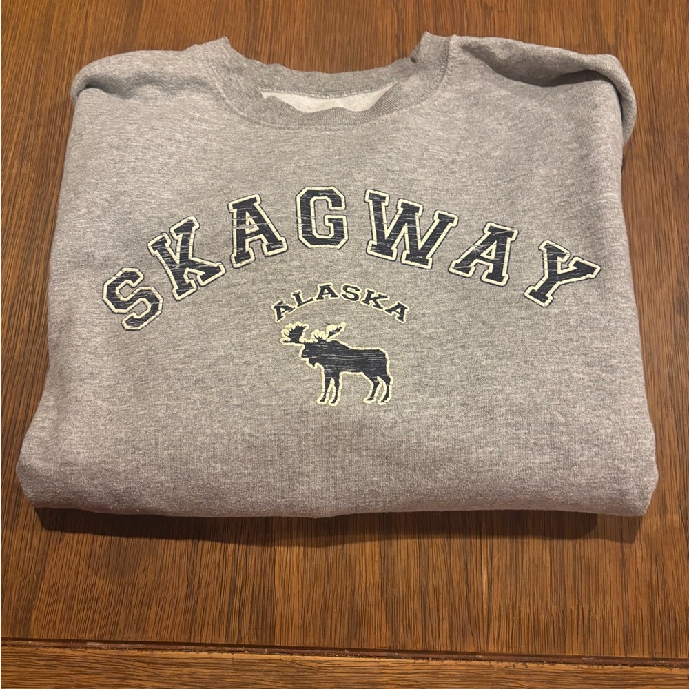 LG Gray Graphic Sweatshirt